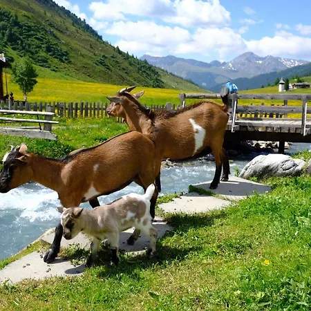 Walserhuus Sertig ホテル Sertig Döfli