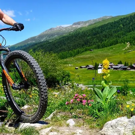 Ξενοδοχείο Walserhuus Sertig Sertig Döfli