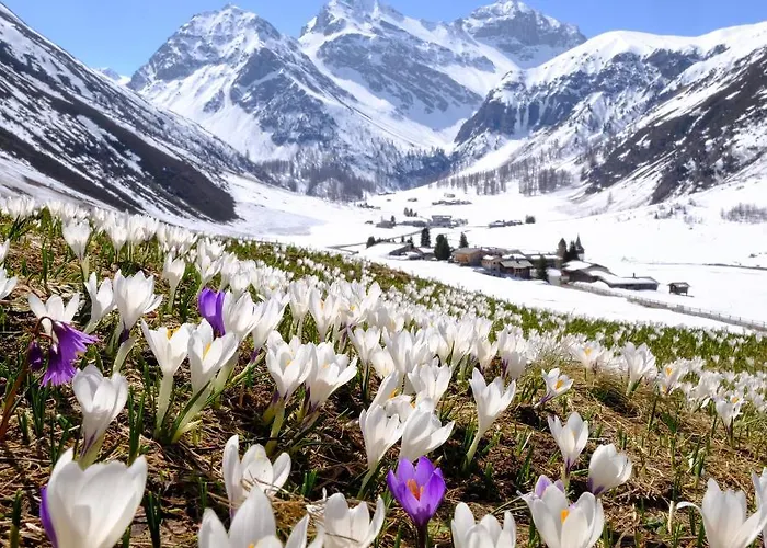 Walserhuus Sertig 3*